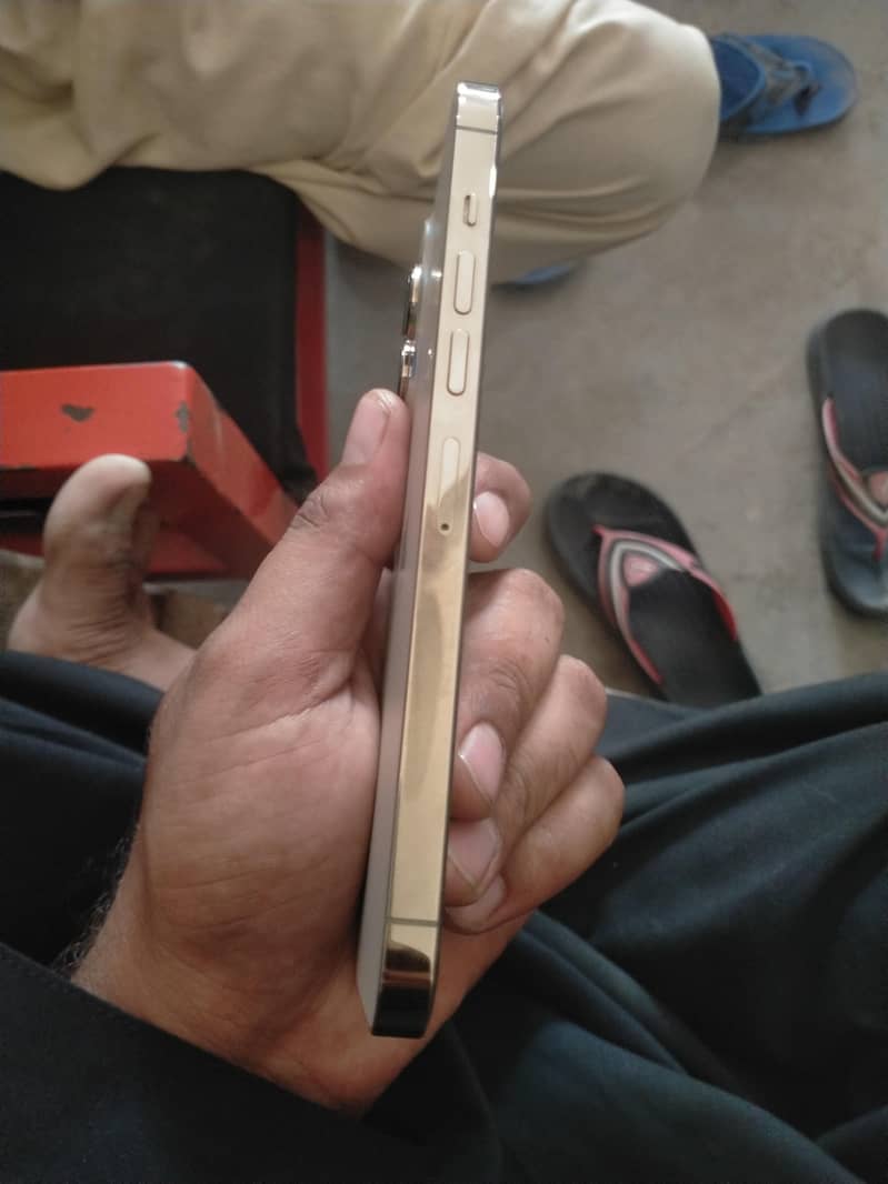 Apple iPhone 13 Pro Max 3