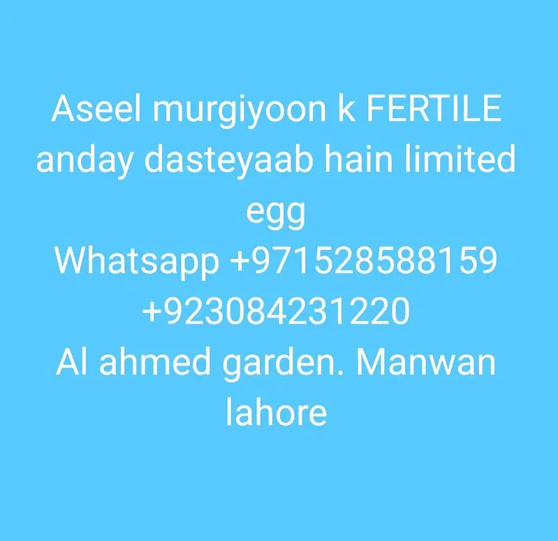 assel mirigiyon k limited anday dasteyab hain — photo 5
