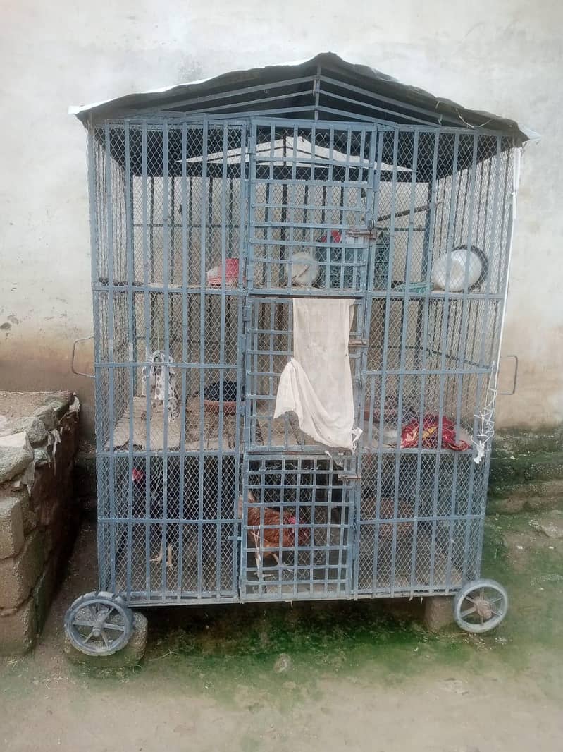 Hen cage 0
