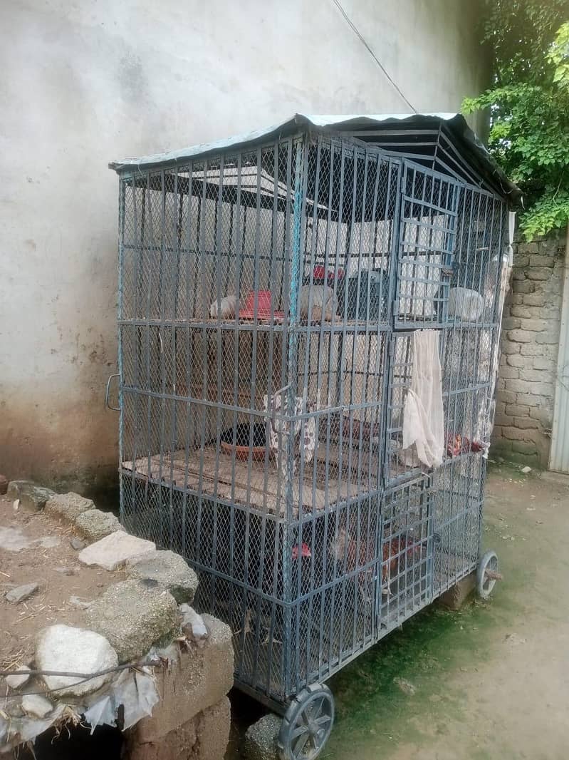 Hen cage 1