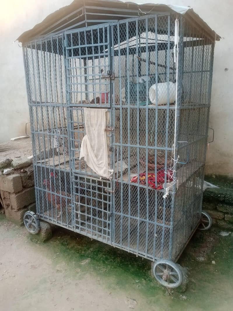 Hen cage 2