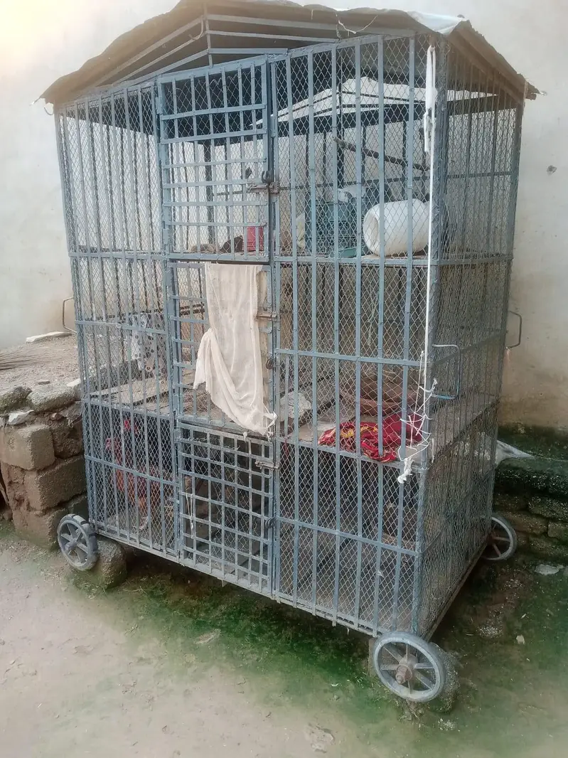 Hen cage — photo 3