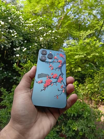 Apple iPhone 13 Pro PTA Approved