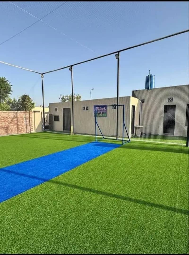 cricket arena 2