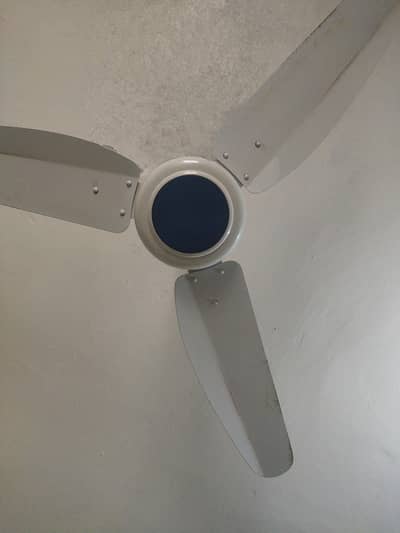 AC/DC Fan