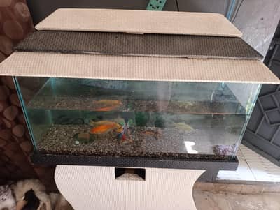 Aquarium 3ft