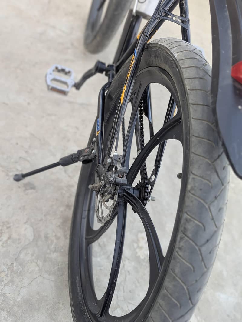 Full size Cycle 10