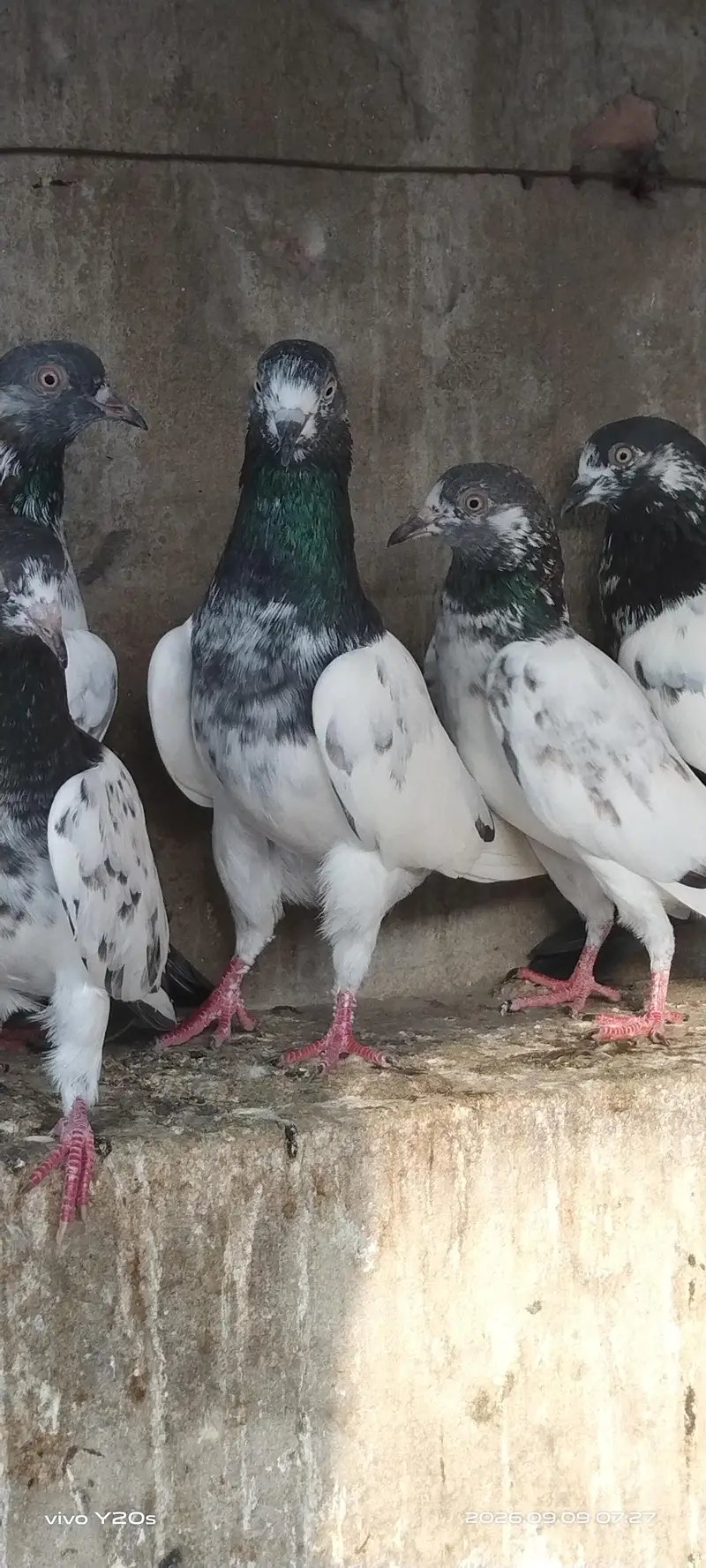 Taddi Male — photo 2