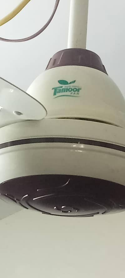 Tamour fan AC DC