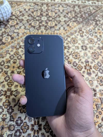 Apple iPhone 12 Water Pack