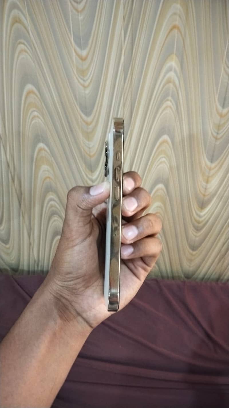 Apple iPhone 13 Pro 2