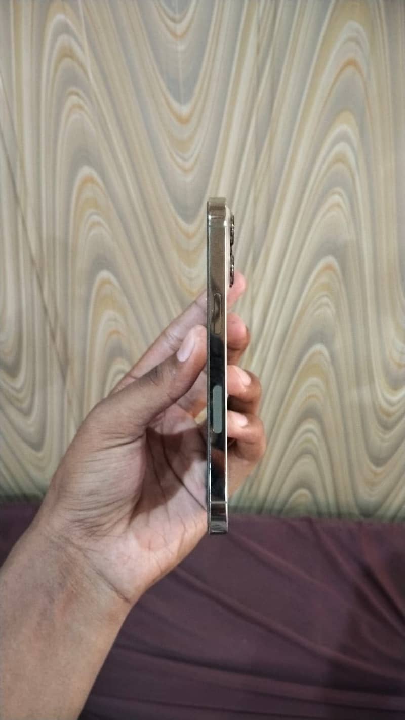 Apple iPhone 13 Pro 4