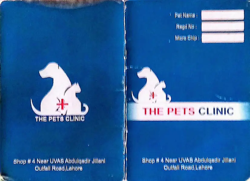 labrador female pedigree  for sale — photo 2