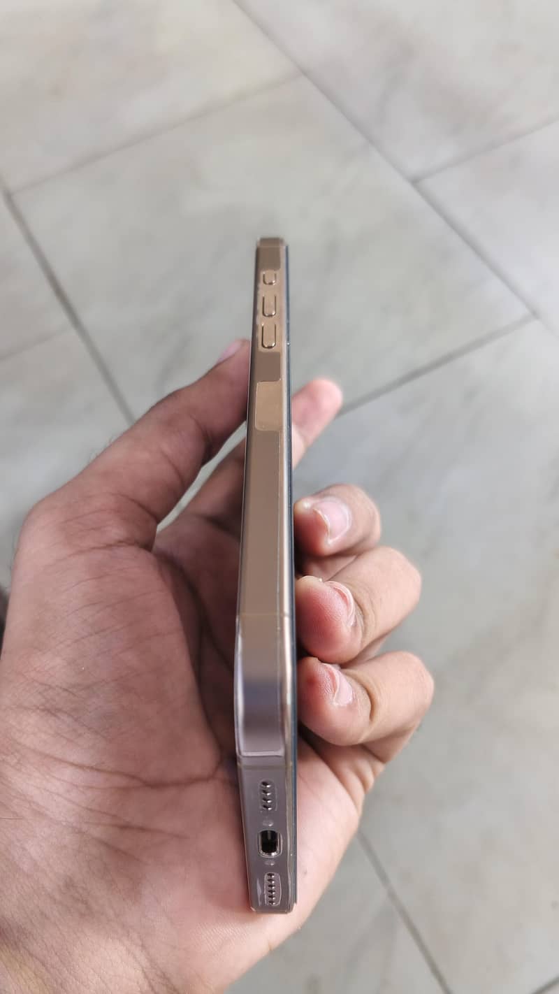 Apple iPhone 16 Pro Max 2