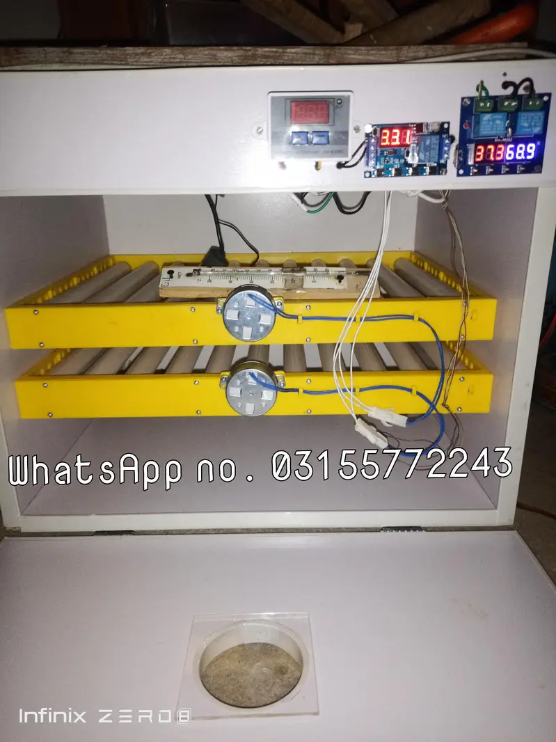manual & automatic incubator, brooder 30, 60, 80, 120,240,300,500 eggs — photo 10