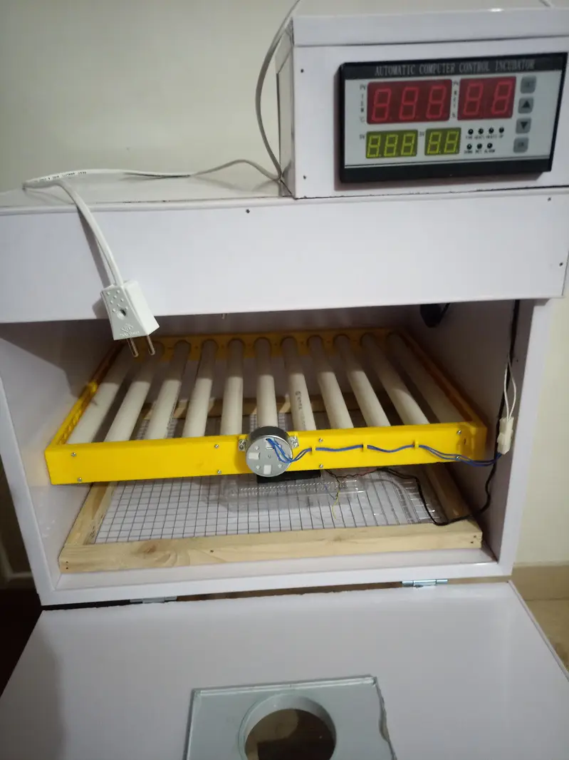 manual & automatic incubator, brooder 30, 60, 80, 120,240,300,500 eggs — photo 11