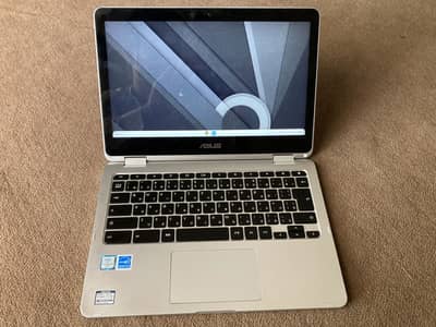 Asus Chromebook Flip C302C