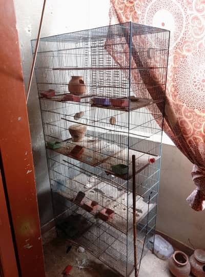 pinjra for sale urgent