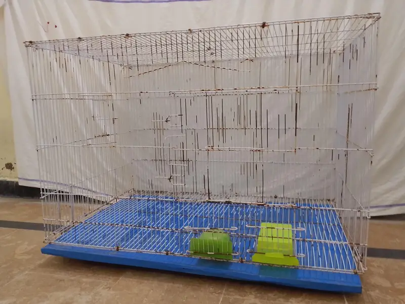 Cage | Parrot Cage | Aseel Cage | Hen Cage |
