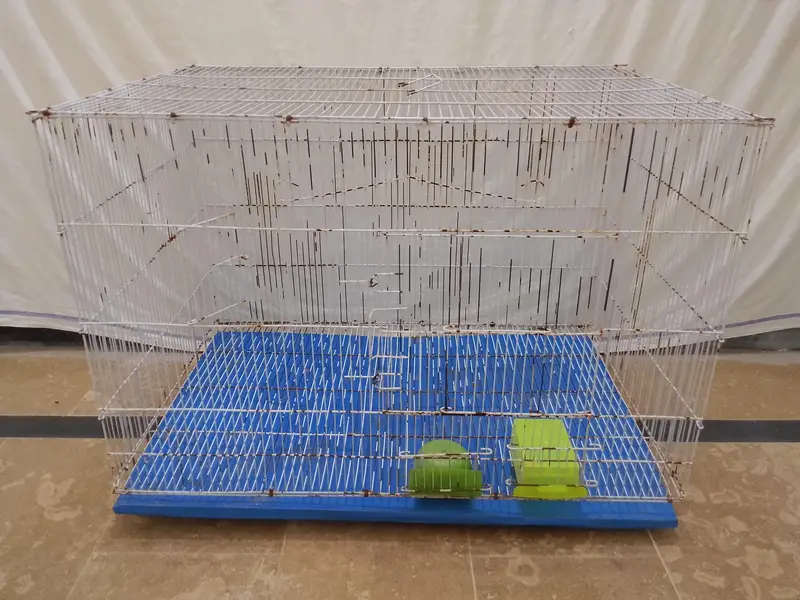 Cage | Parrot Cage | Aseel Cage | Hen Cage | — photo 2