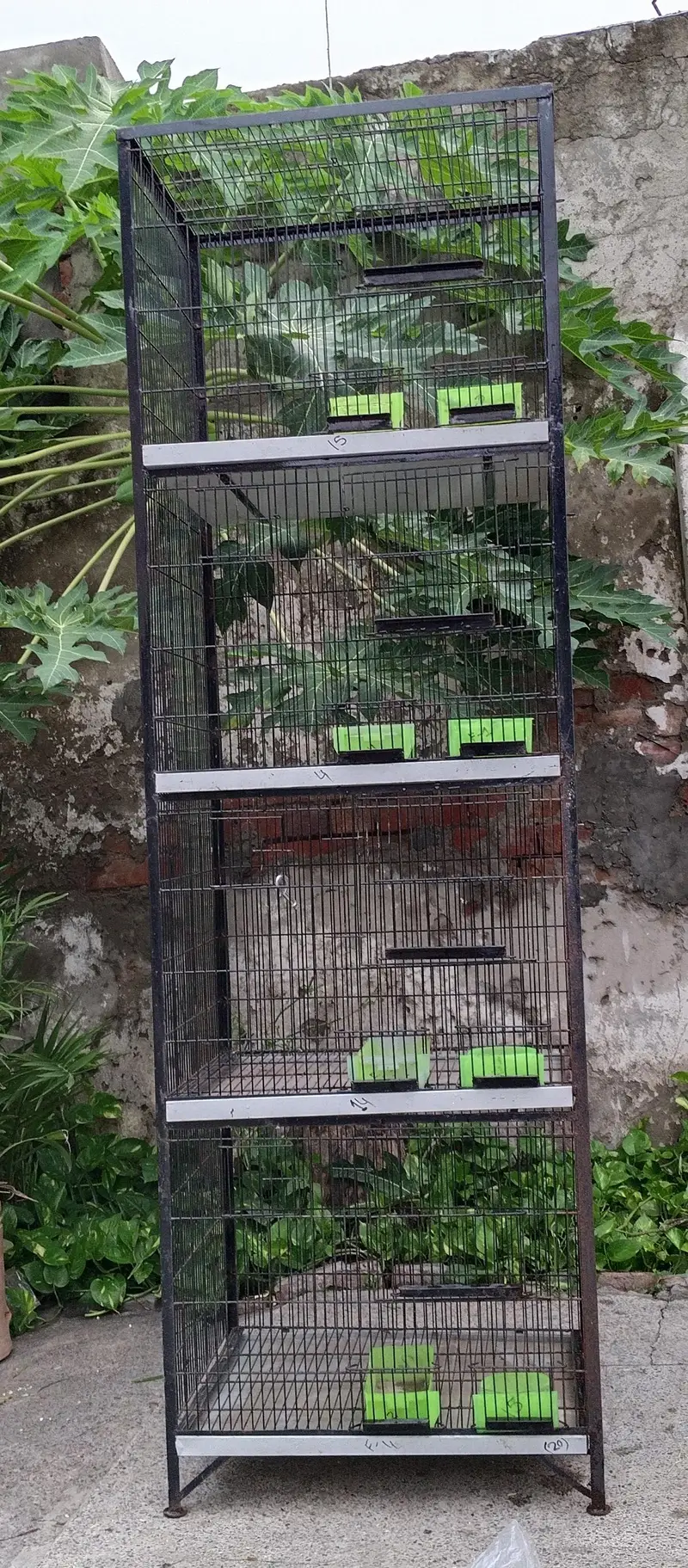 Iron Cages 4 portion / bird cages