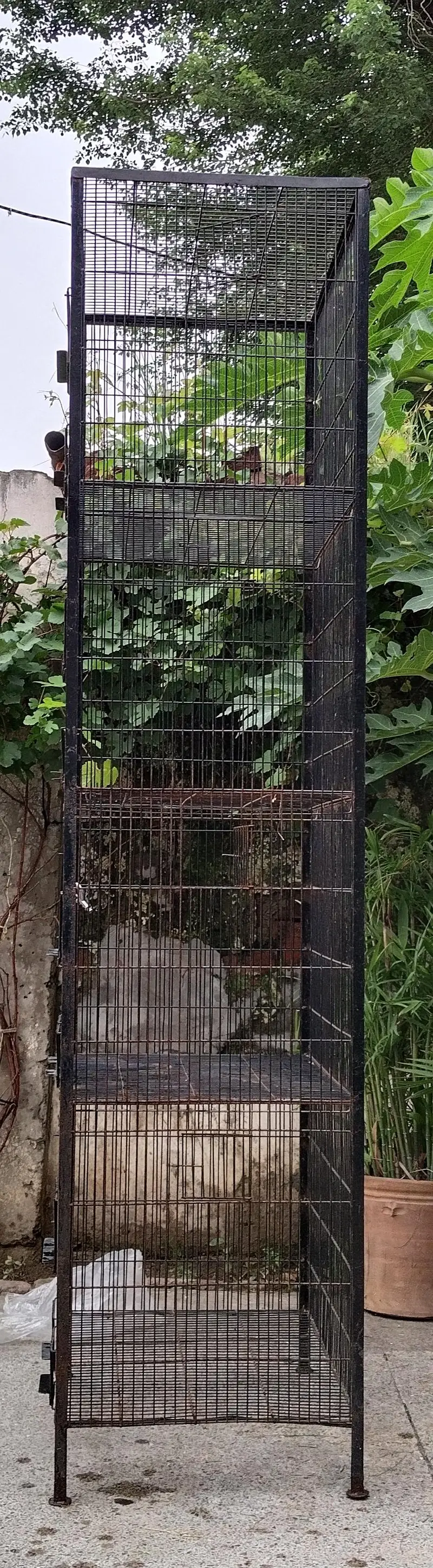 Iron Cages 4 portion / bird cages — photo 2