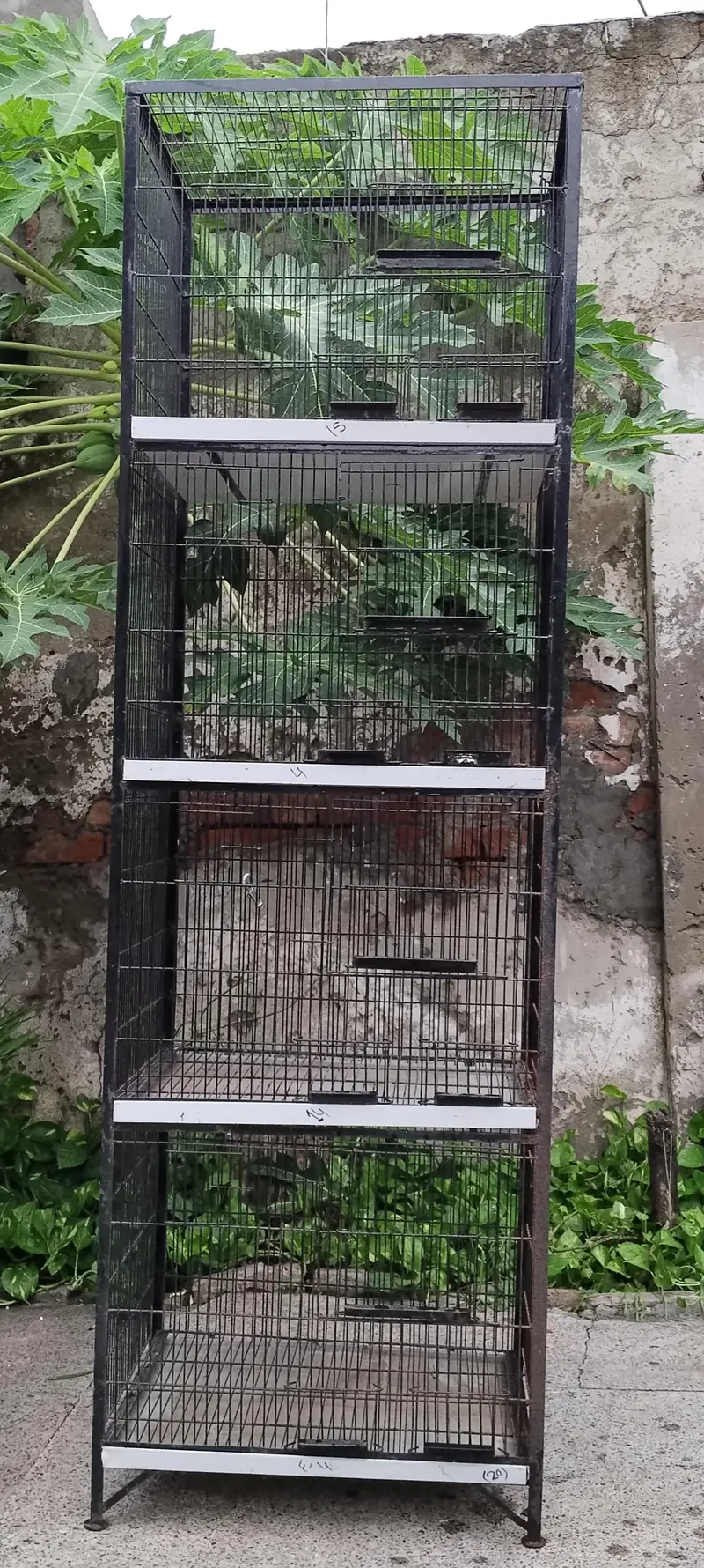 Iron Cages 4 portion / bird cages — photo 3