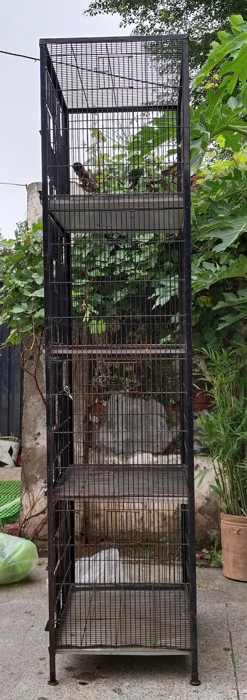 Iron Cages 4 portion / bird cages — photo 4