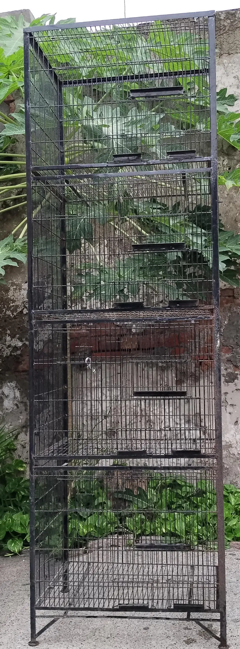 Iron Cages 4 portion / bird cages — photo 5