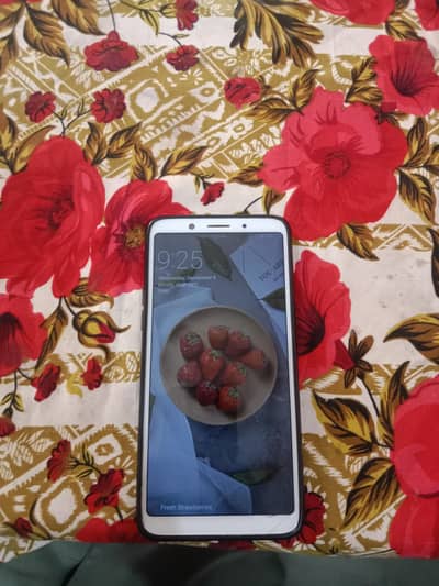 oppo5