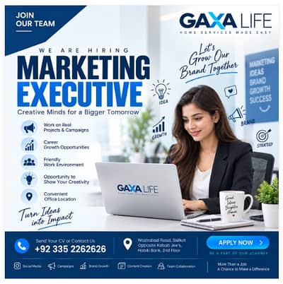 Marketing Executive