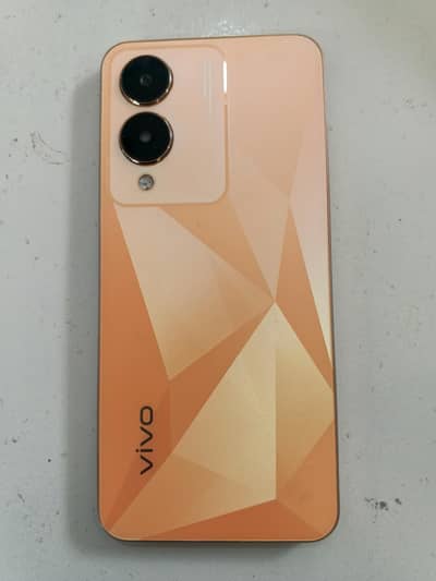 Vivo Y17s