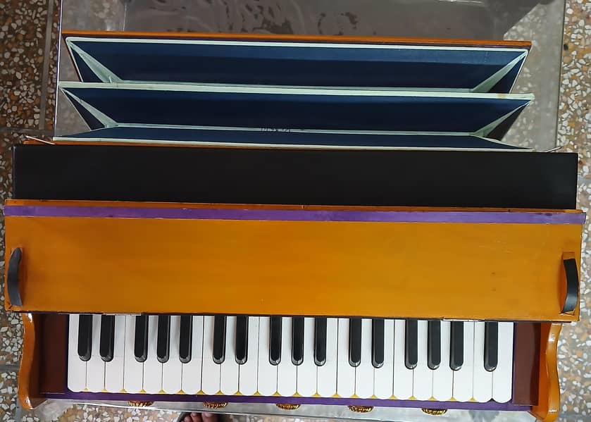 Harmonium with Bag 2