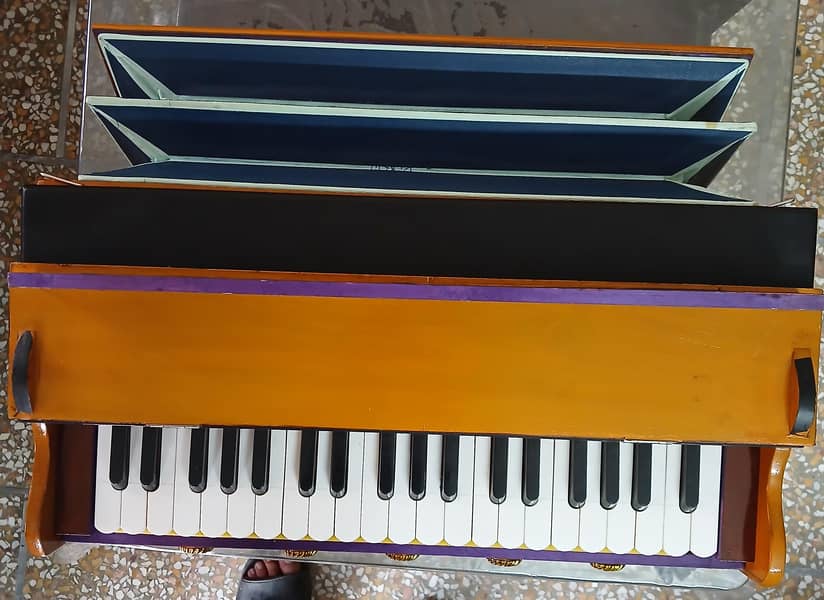 Harmonium with Bag 3