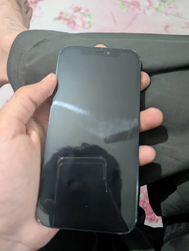 Apple iPhone 12 0
