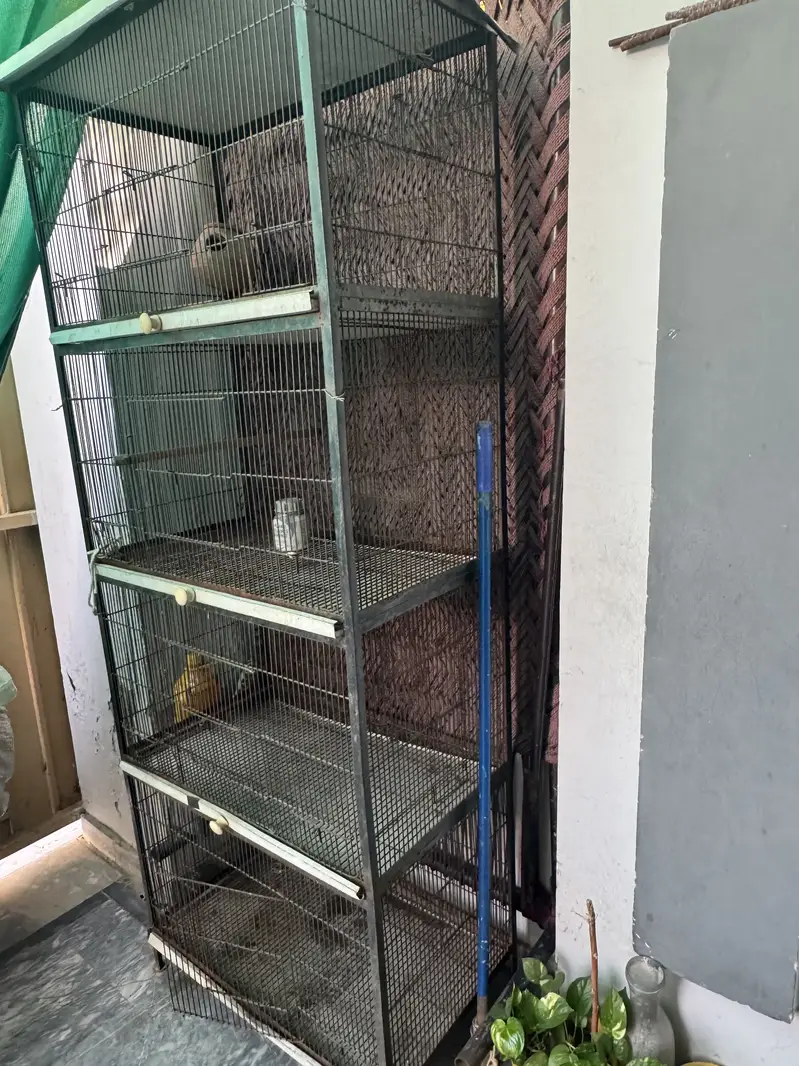 Birds Cage — photo 2