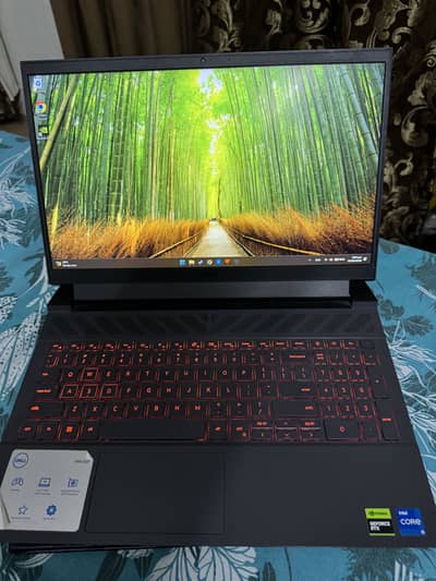 Dell g15 gaming laptop