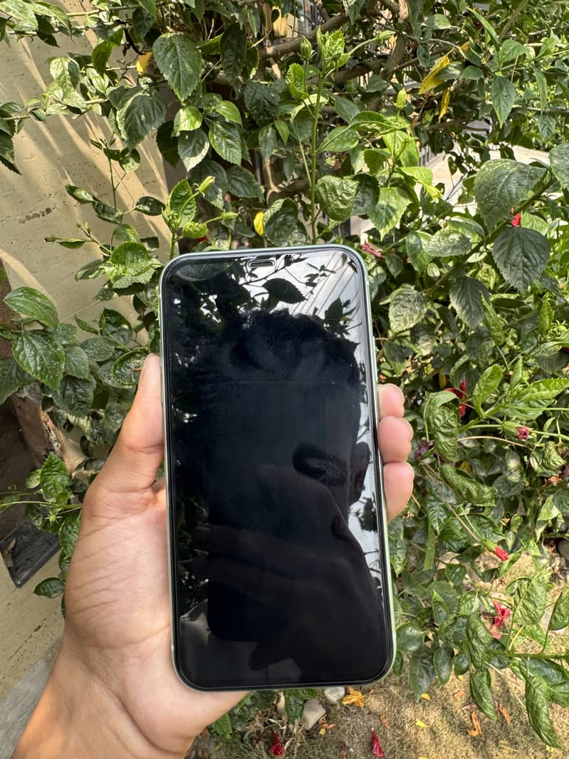 iPhone 11 1