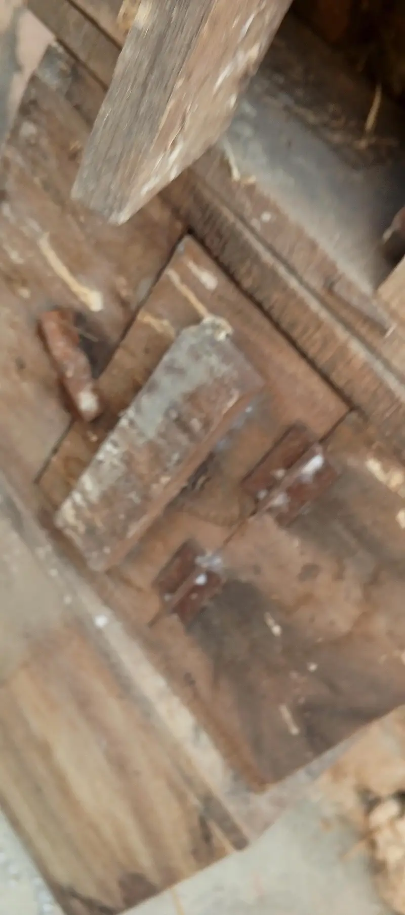 love brid box — photo 3
