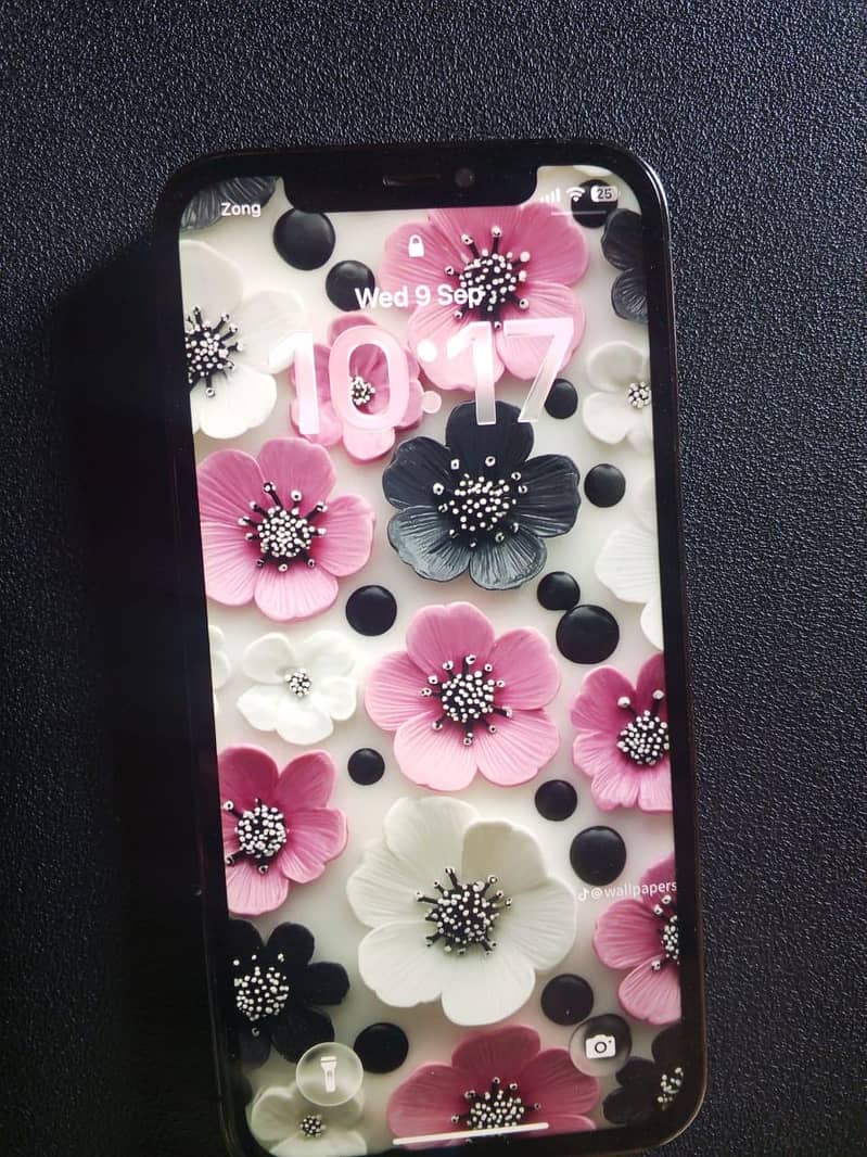 Apple iPhone 12 Pro 3