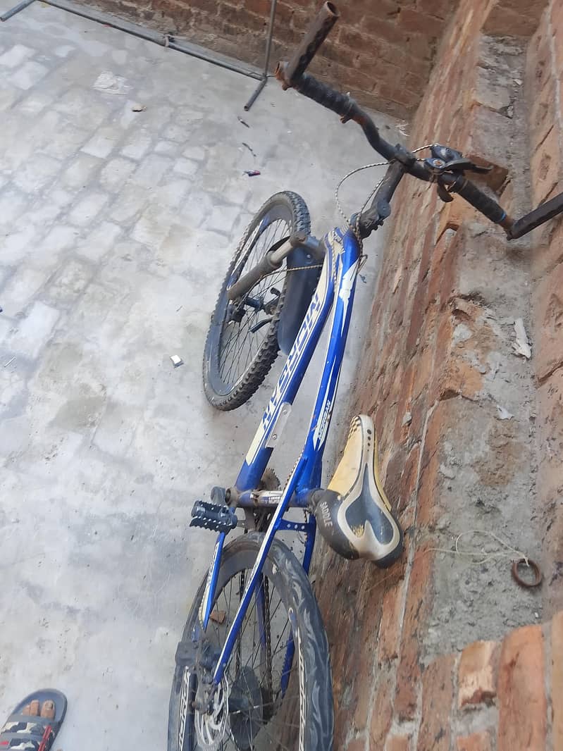 bicycle 1