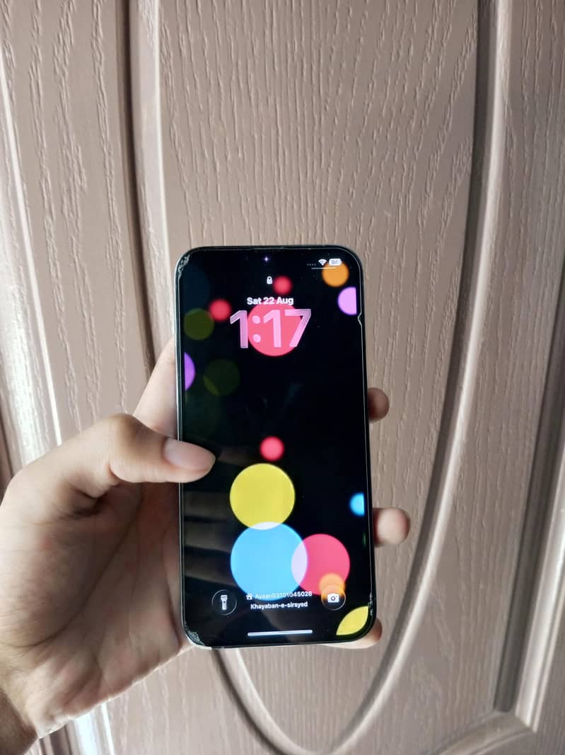 Apple iPhone 13 Pro Max 4