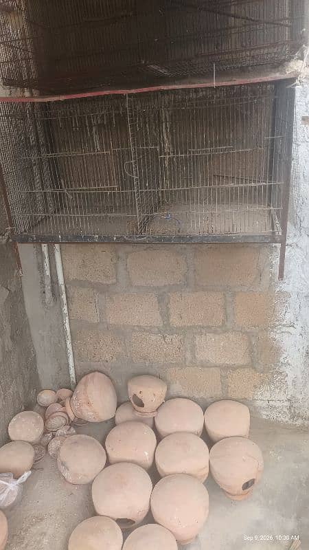 cages 0