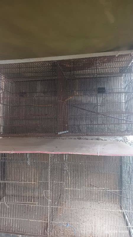cages 1