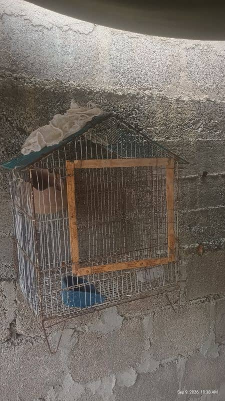 cages 2