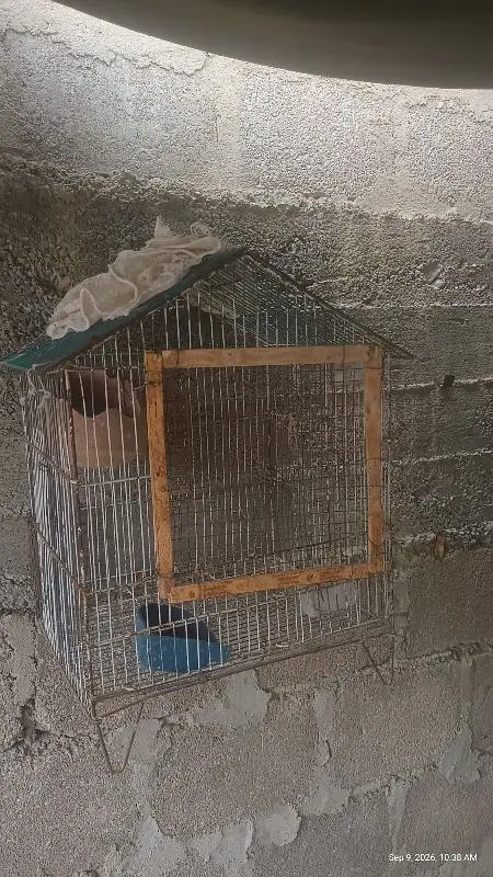 cages — photo 3