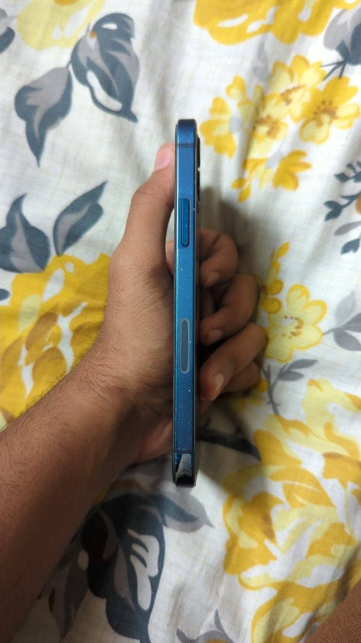 Apple iPhone 12 1