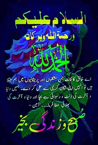 Muhammad Hammad Riaz
