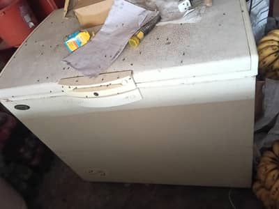 waves cool bank freezer urgent for sale