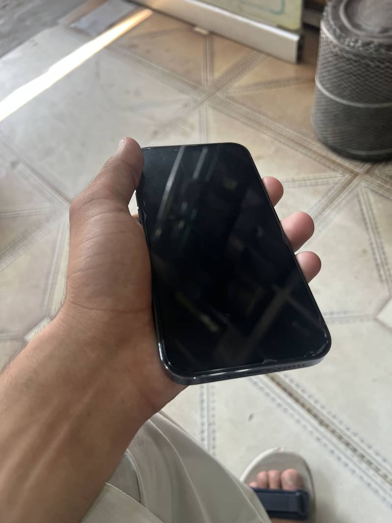 Apple iPhone 13 Pro Max 3